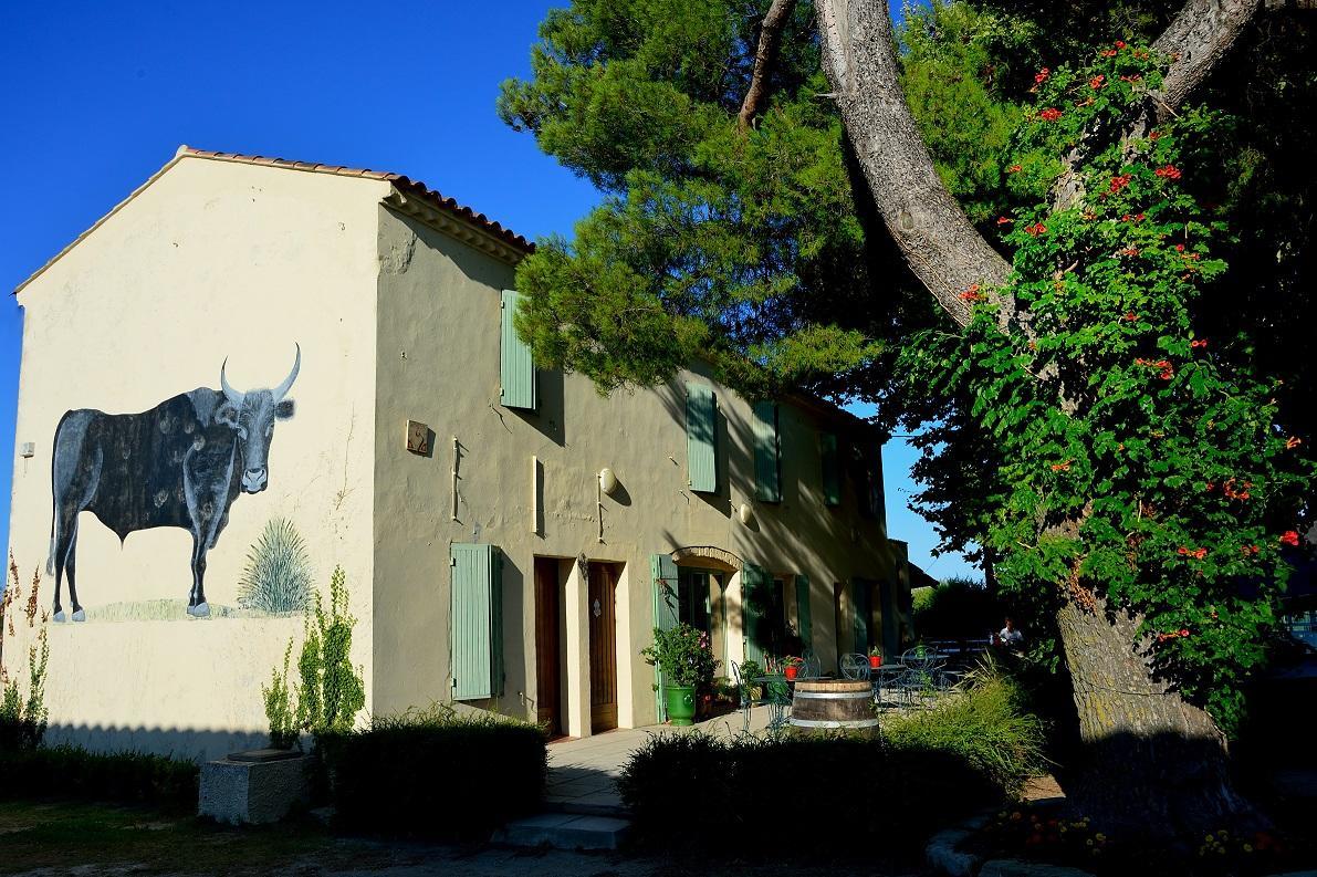 Manade Saint Louis Mas De La Paix Bed & Breakfast Vauvert Bagian luar foto