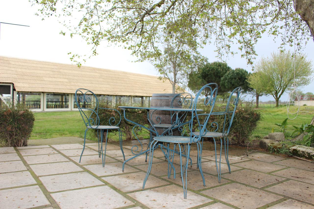 Manade Saint Louis Mas De La Paix Bed & Breakfast Vauvert Bagian luar foto